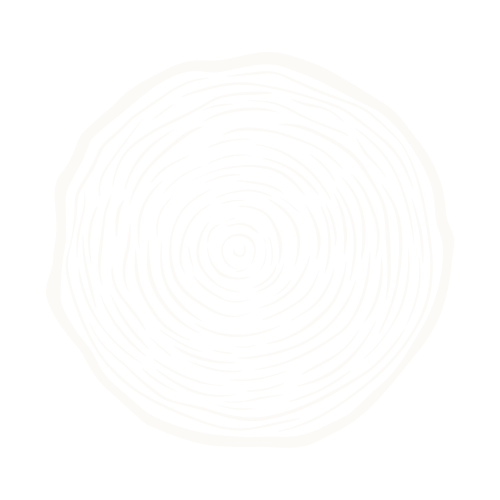 Tree Ring Icon